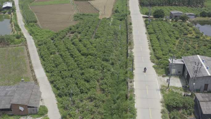 航拍摩托车行驶在乡村道路乡村公路机车骑行