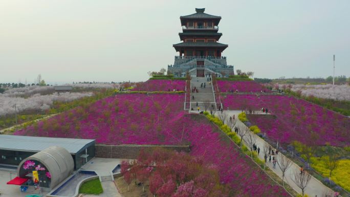 航拍郑州丰乐樱花园