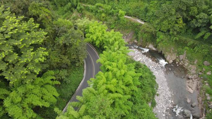 峨眉山林荫小路