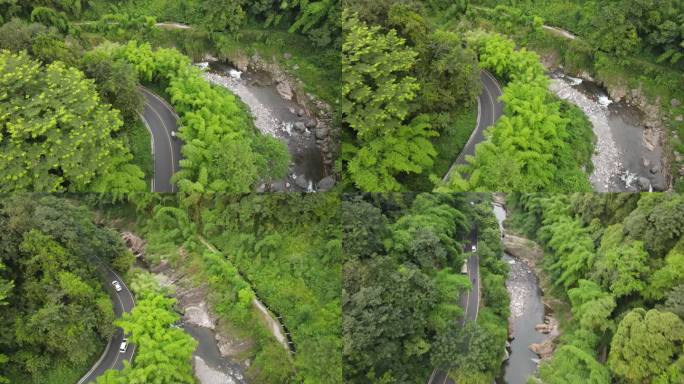 峨眉山林荫小路