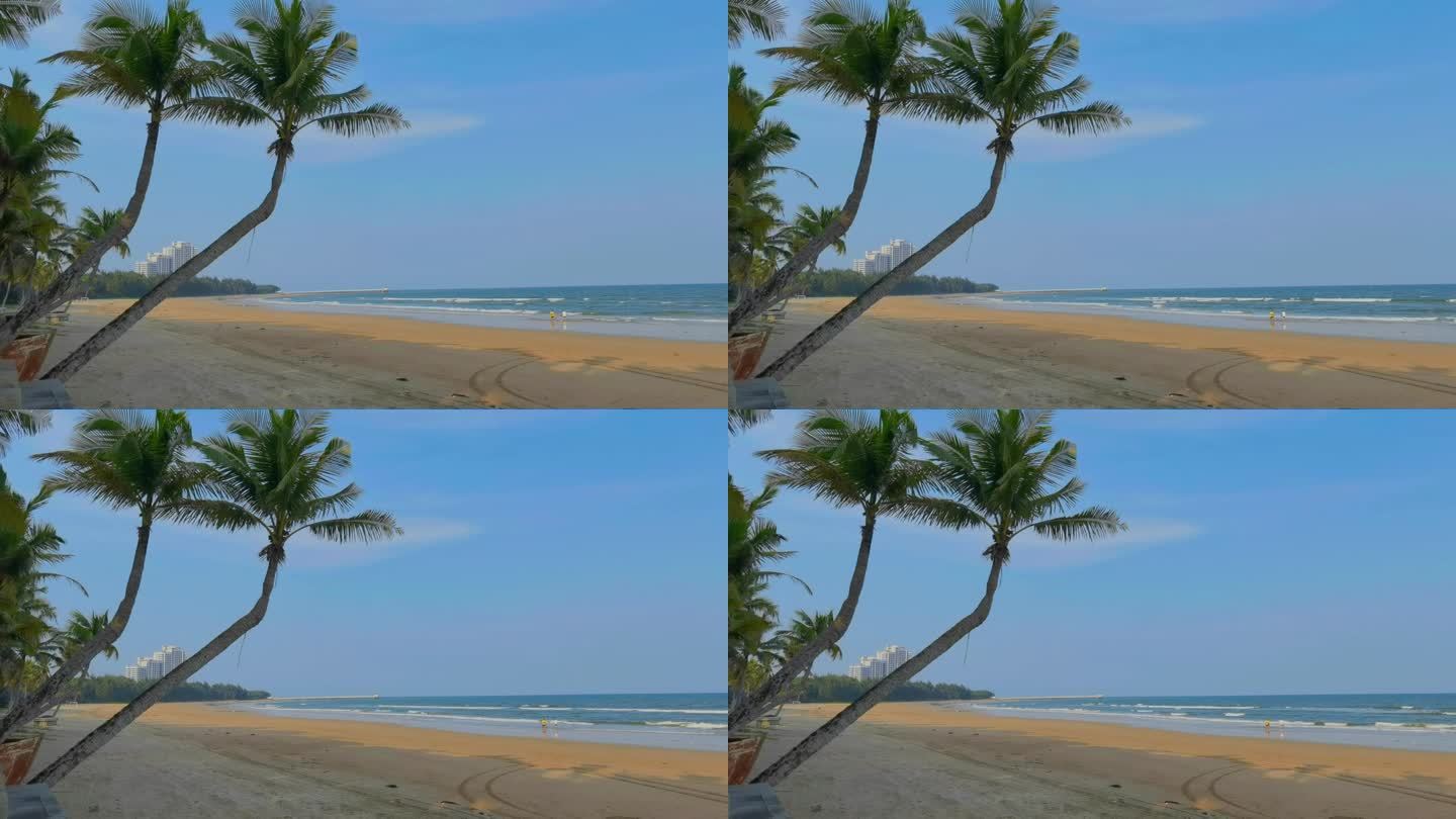 海边的椰树，椰风海韵