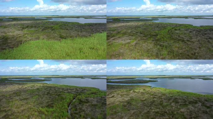 奥杜邦野生动物保护区河口-北卡罗来纳州卡罗拉市柯里托克湾