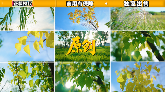 4k夏天的晴空蓝天阳光照射阳光明媚小清新