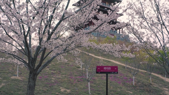 航拍郑州丰乐樱花园