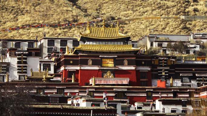 西藏日喀则扎什伦布寺特写