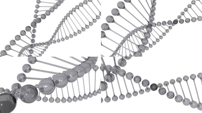 DNA螺旋模型双螺旋结构特效医疗领域