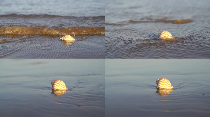 阳光沙滩下海螺贝壳海水浪花海滩沙子夕阳光