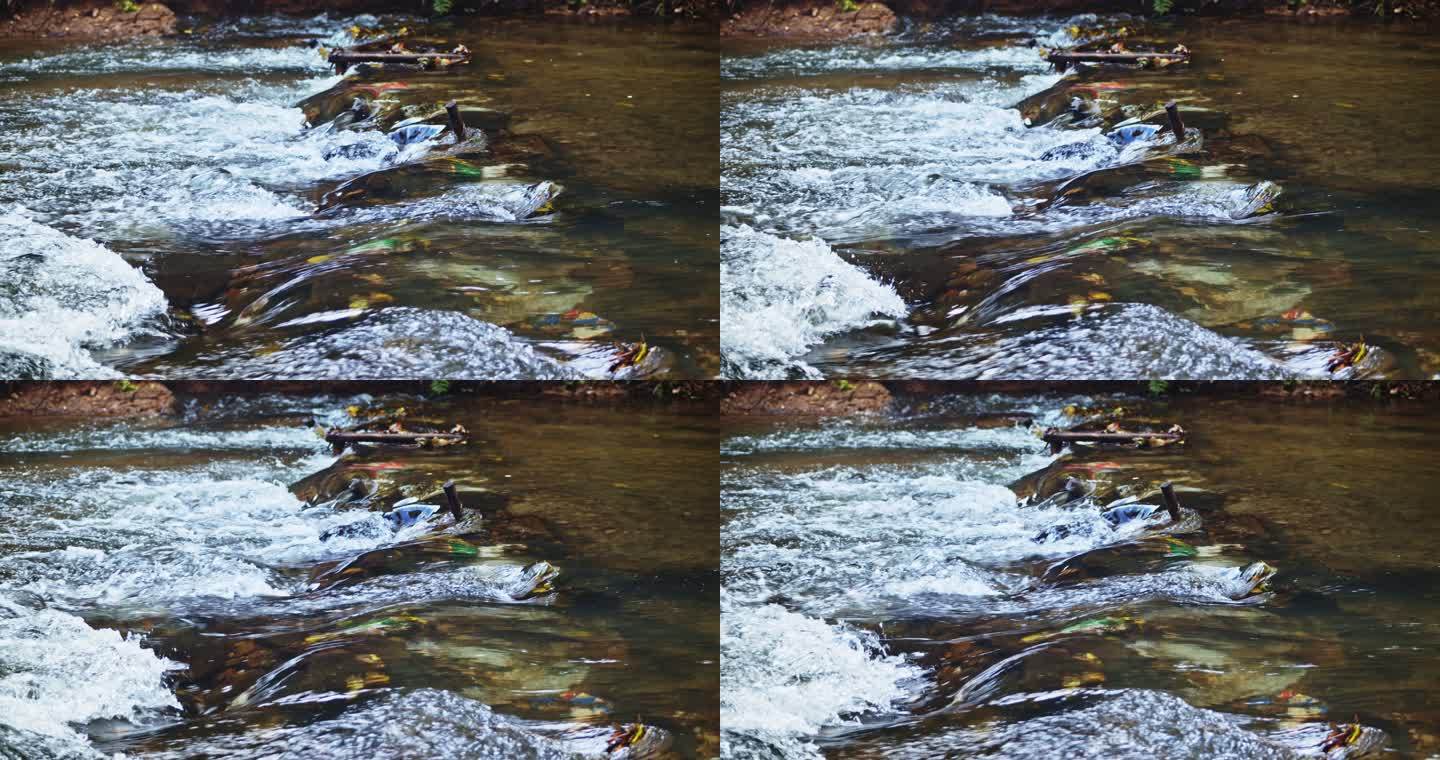 水在河中流过石头，慢动作