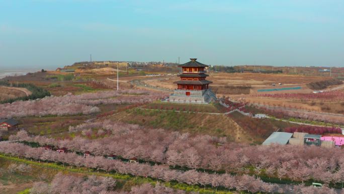 航拍郑州丰乐樱花园