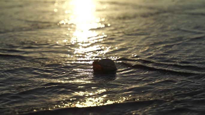 阳光沙滩下海螺贝壳海水浪花海滩沙子夕阳光