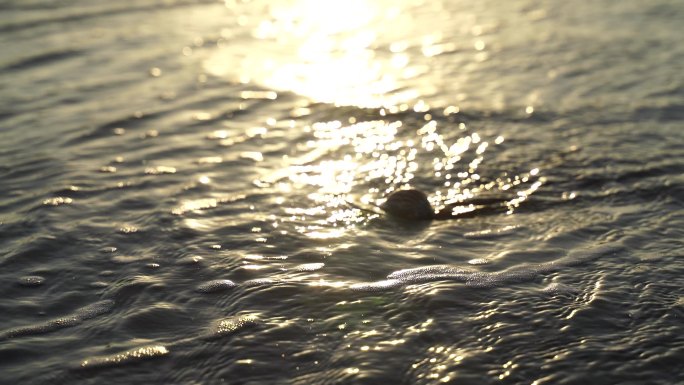 阳光沙滩下海螺贝壳海水浪花海滩沙子夕阳光