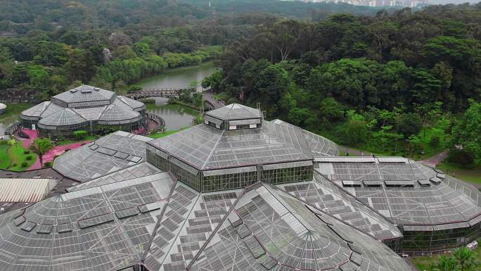广州华南植物园阳光木棉植物园航拍4K视频