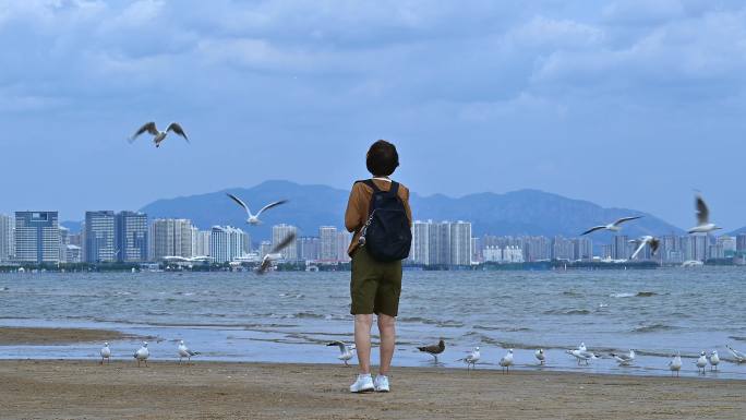 浅水湾海滩喂海鸥4K60帧