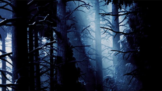 神秘的、荒野的、阴暗的森林。月光透过大树的树冠，映衬出树木的阴暗轮廓。