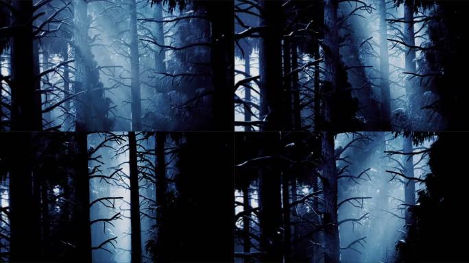 神秘的、荒野的、阴暗的森林。月光透过大树的树冠，映衬出树木的阴暗轮廓。