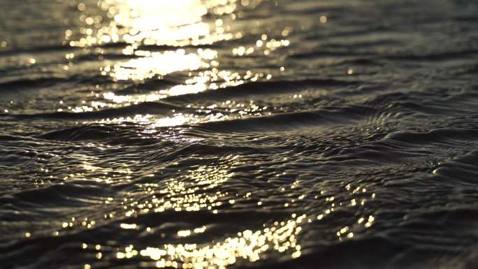阳光沙滩下海螺贝壳海水浪花海滩沙子夕阳光