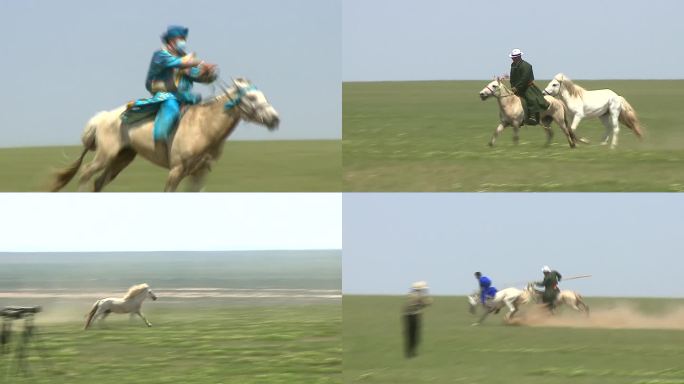 蒙古族赛马 套马