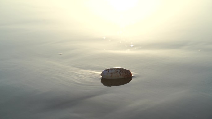 阳光沙滩下海螺贝壳海水浪花海滩沙子夕阳光