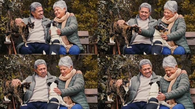 一对快乐的老年夫妇在花园里放松时与宠物玩耍的4k视频片段