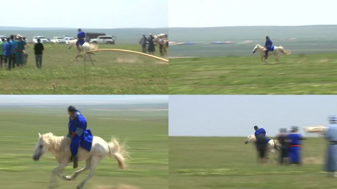 蒙古族驯马