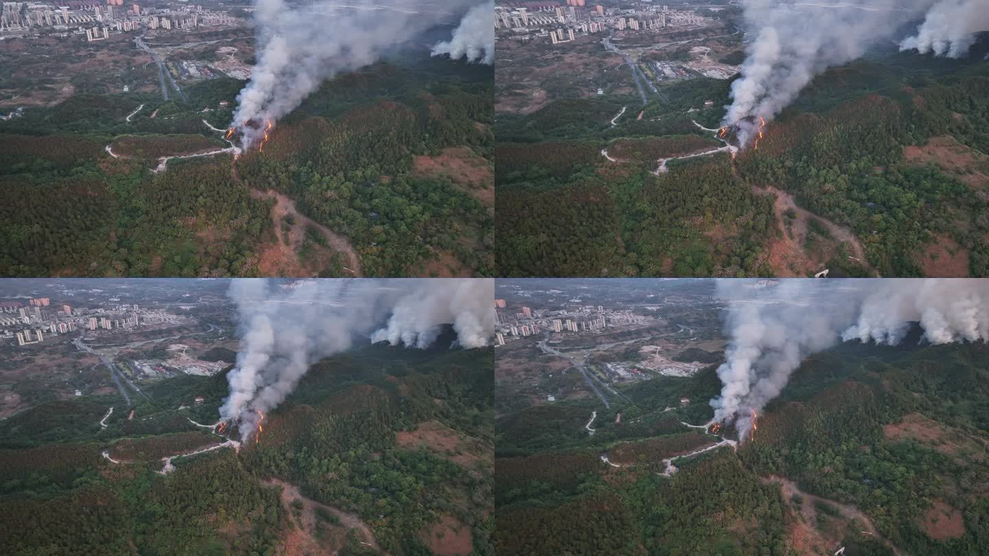巴南山火森林火灾