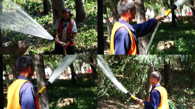 【4K】辛勤的园林工人给花草树木浇水