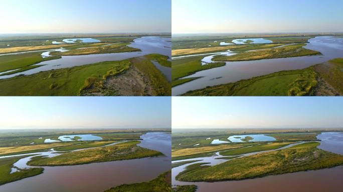黄河湿地河道河滩生态治理
