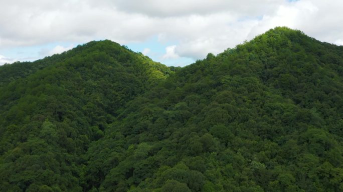 大山绿色原始森林航拍