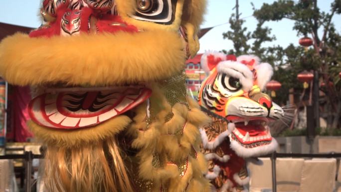 中国狮子表演，农历新年庆祝，慢动作。