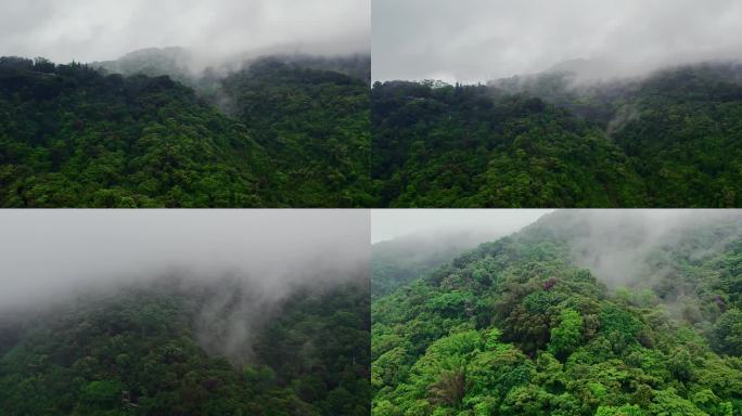 广州白云山珠水雨后平流雾穿云航拍4K视频