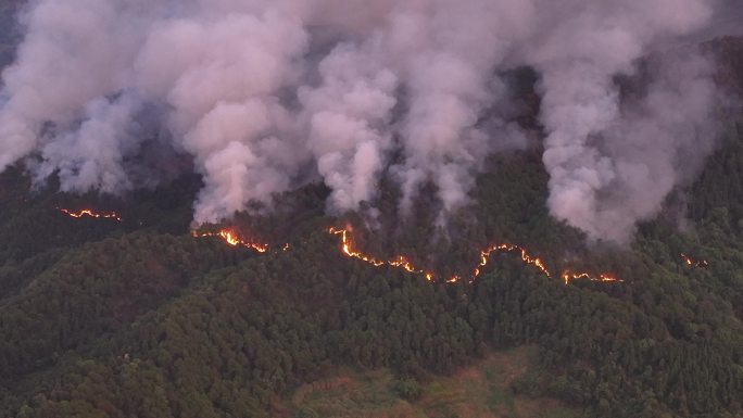 重庆火灾森林火灾巴南山火火线