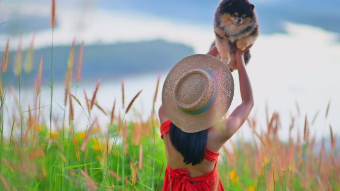 一起为旅行喝彩带宠物旅行户外美景美女背影