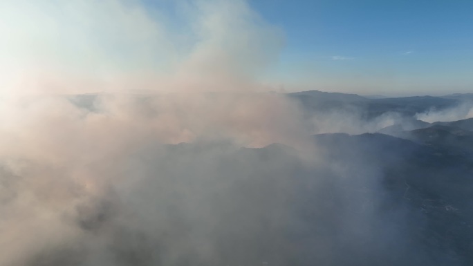 重庆巴南森林火灾 重庆山火 消防宣传