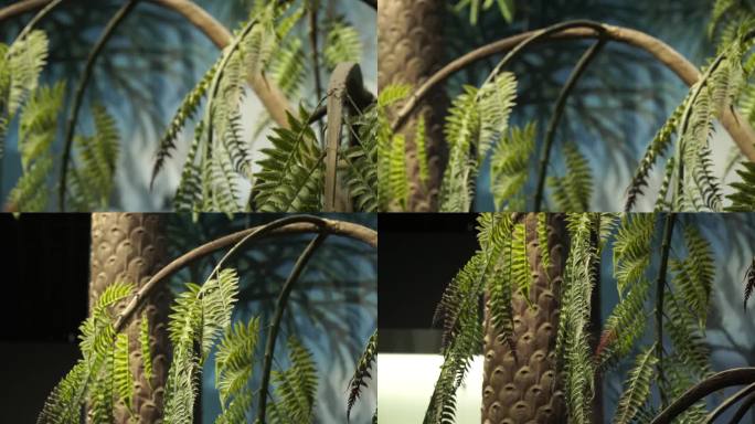 恐龙世纪远古植物模型 (2)