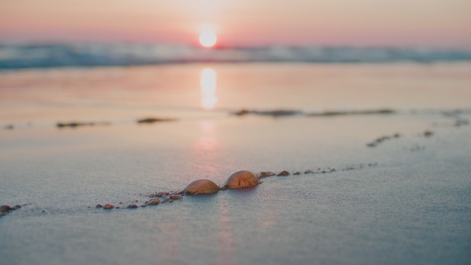 在日落背景下的海滩上漏油，原油污染的海滩