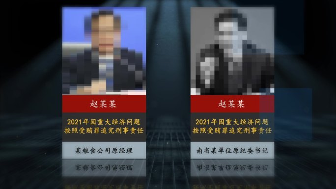 反腐 警示 纪委嫌疑人介绍C31