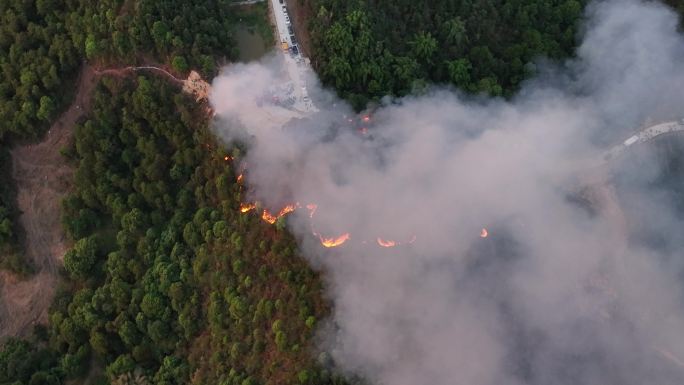 重庆山火巴南森林火灾现场消防宣传