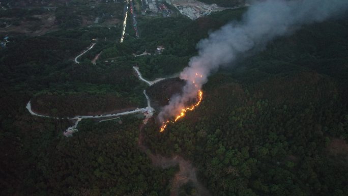 重庆火灾现场森林火灾山火