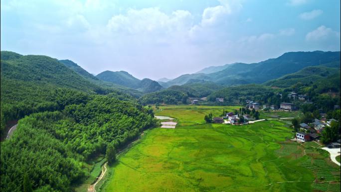 梁平竹海 乡村振兴