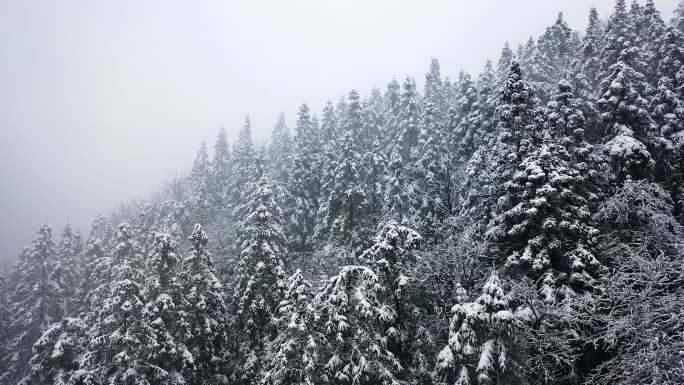 4k湖北咸宁高山乡村村落雪景视频