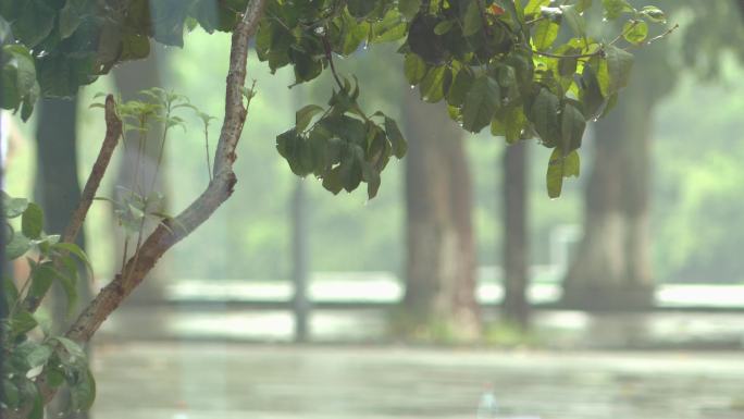 下雨天 学校 校园 安静