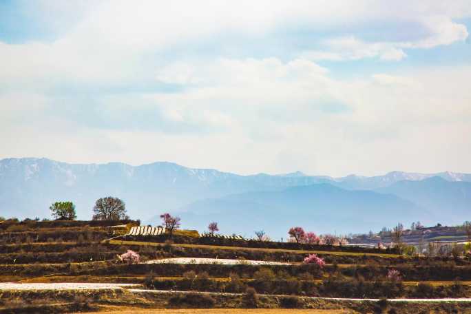 甘肃西北临夏农村风景 杏花 农田延时