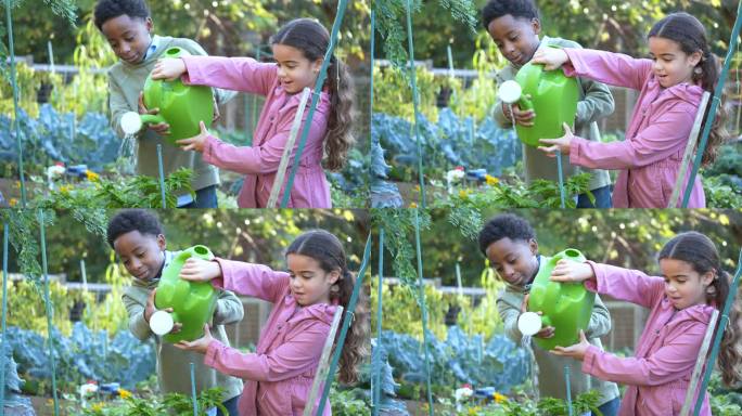 多种族儿童在社区花园给植物浇水