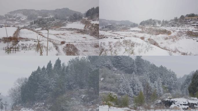 山里乡村田里野外树林下雪雪景