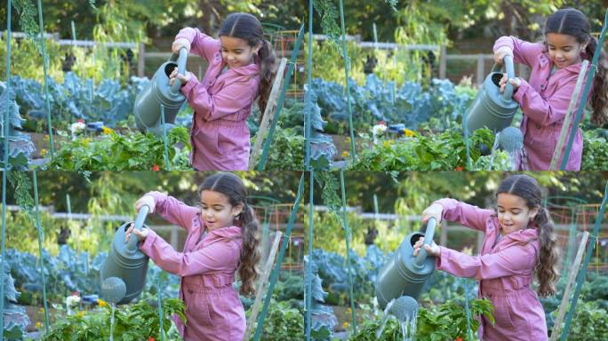 拉美裔女孩在社区花园浇花