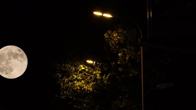 夜晚街道车流灯光与虚化光斑
