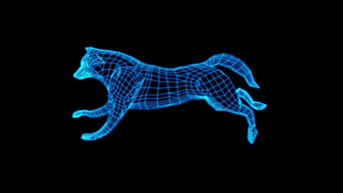 蓝色全息线框狼奔跑动画素材带通道