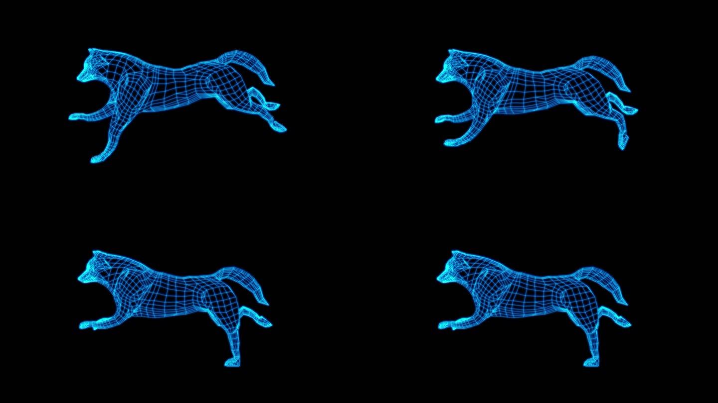蓝色全息线框狼奔跑动画素材带通道