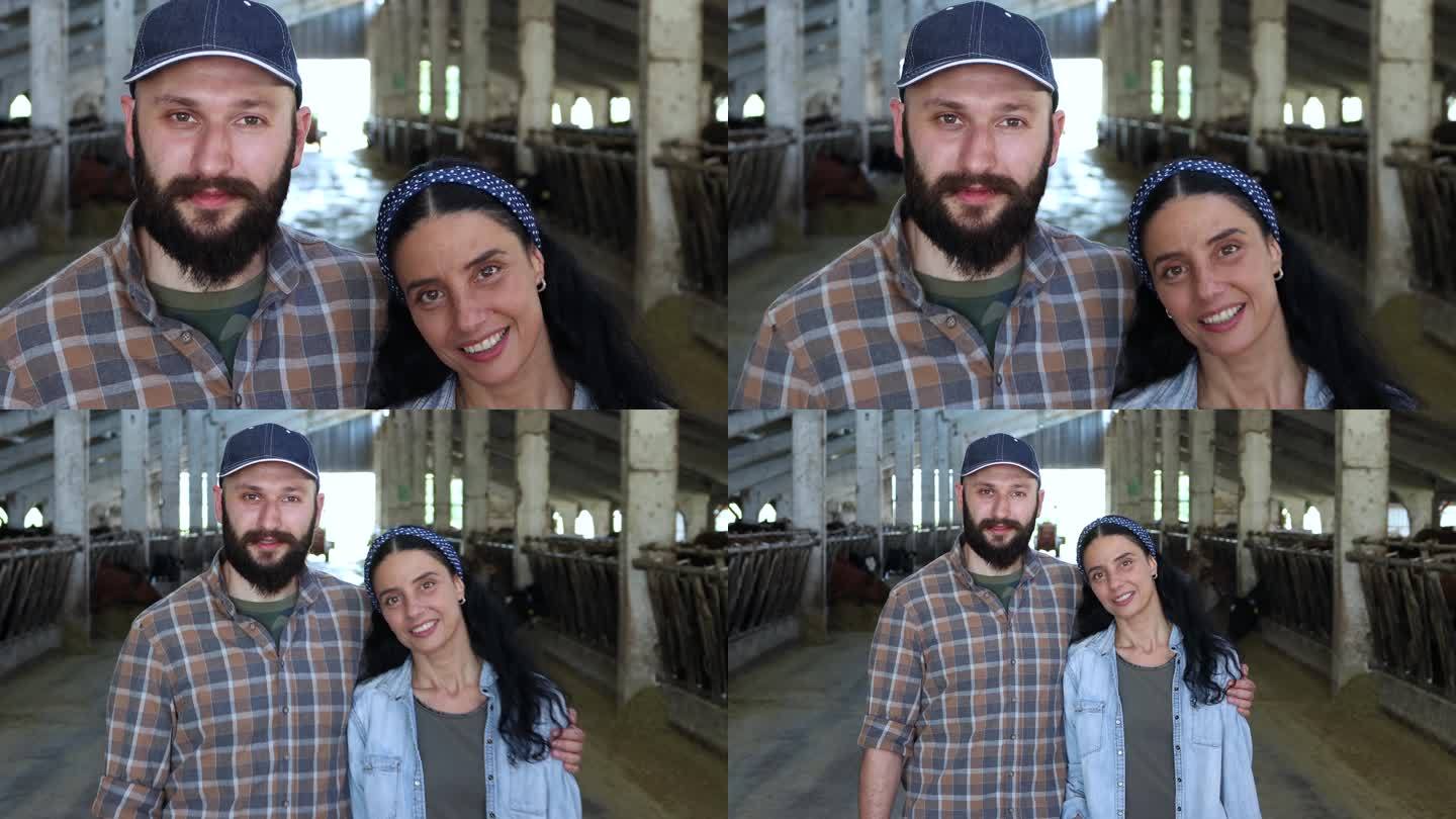 一对年轻农民夫妇幸福地在奶牛场工作的4k视频移动镜头。