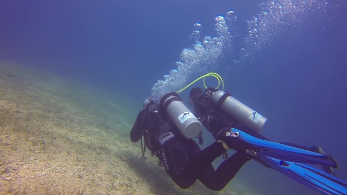 红海潜水